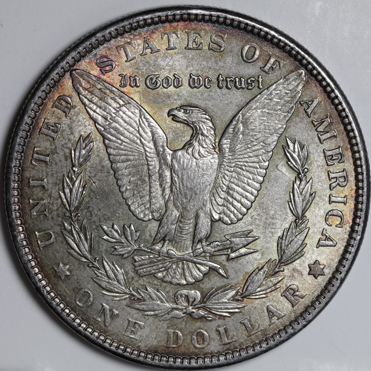 1902 Morgan dollar clashed dies error showing ghost lettering impressions on Liberty's neck and eagle's wing area