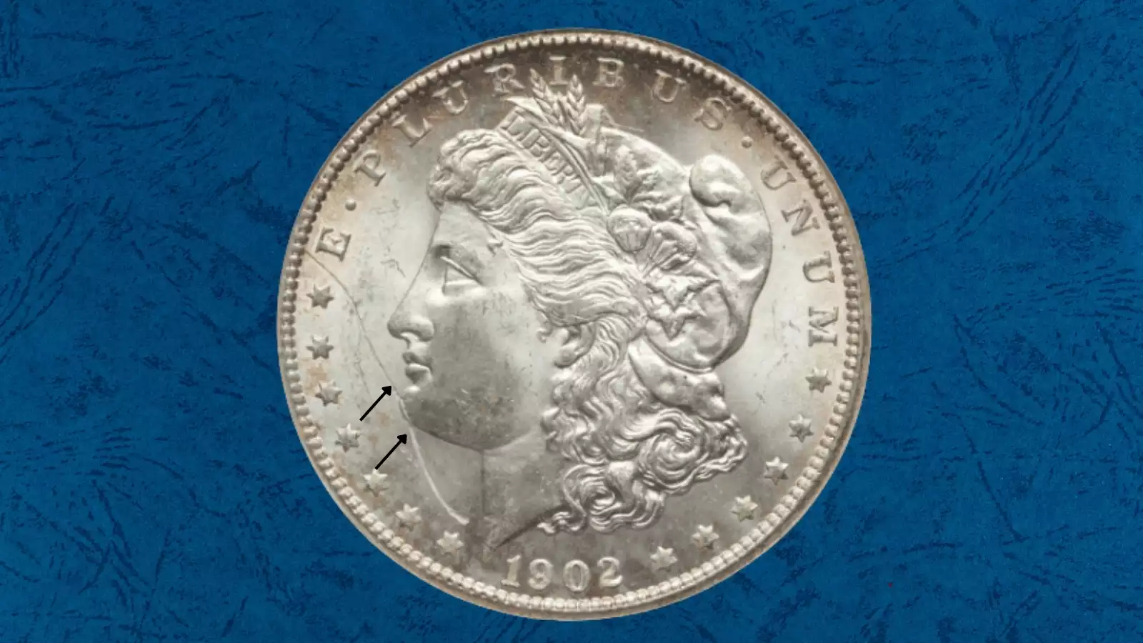 1902 Morgan dollar struck-through error showing a defined void on the coin surface from a foreign object during striking