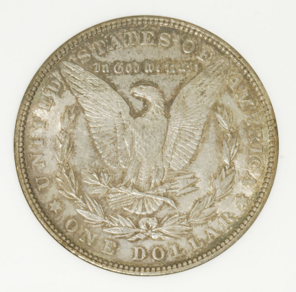 1902 Morgan dollar C-4 over C-3 reverse hub variety showing double olive at eagle claw diagnostic feature